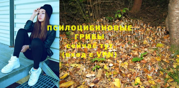 таблы Горнозаводск