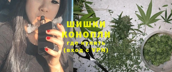 ешки Горняк