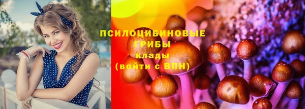 таблы Горнозаводск